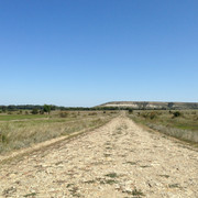 IMG-4168