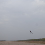 DSC03266
