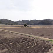 2011-03-11-02