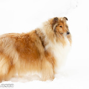 IMG-6570