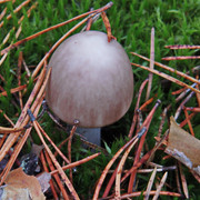 PA010130