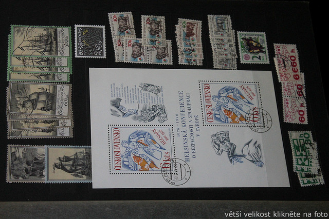 IMG-6891.jpg