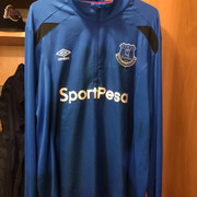 everton-top-train2