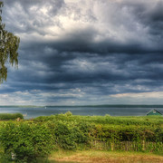 IMG-0426