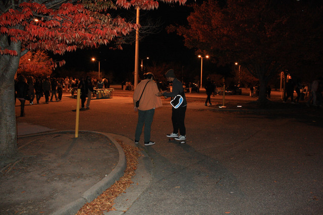 IMG-8420