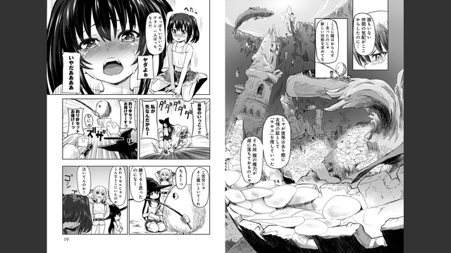 DLRAW-NET-010