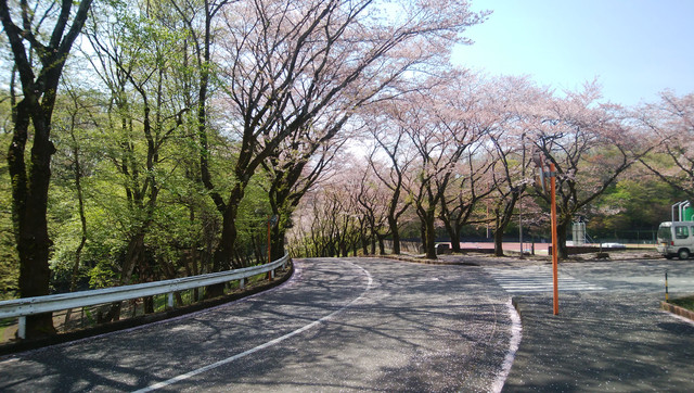 DSC-0212