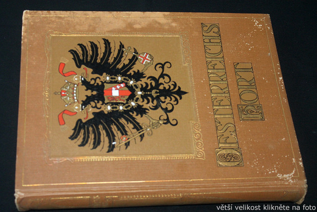 IMG-6358.jpg