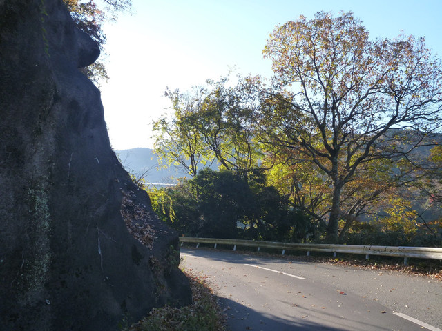 P1130521