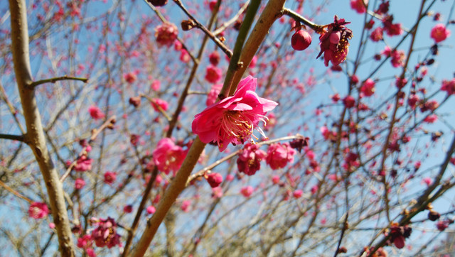 IMG-20230228-131908