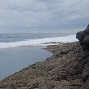 DSCF8600