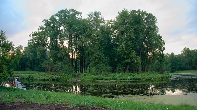 IMGP5049.jpg