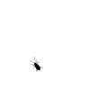 6z2-SH.gif