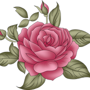 2baced24c56f504477a0994f4113ad2d