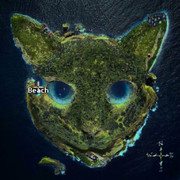 Kodex2