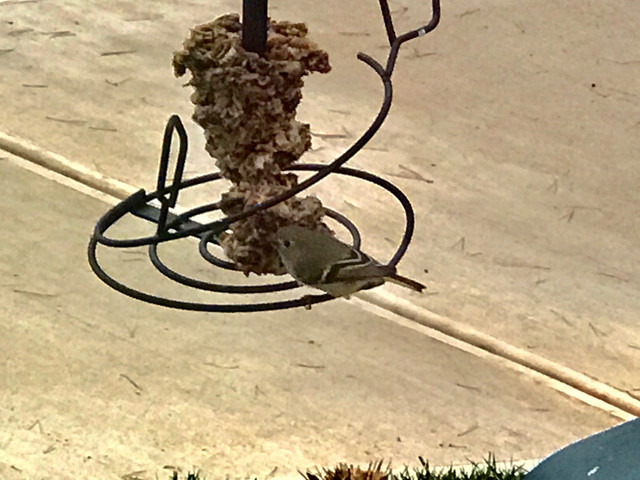 IMG-3426