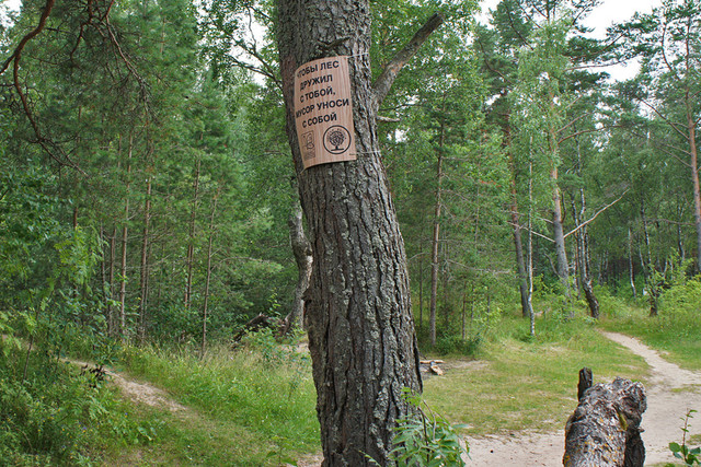KG-raznoe-6.jpg