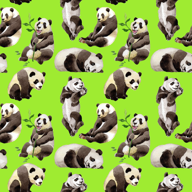 16-Panda.jpg