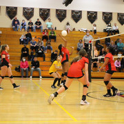IMG-0234