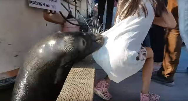 RR-evil-seal