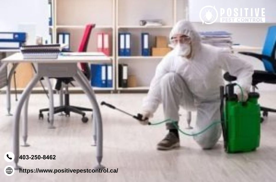 Calgary Wasp Nest Removal | Positivepestcontrol.ca
