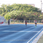 IMG 0327