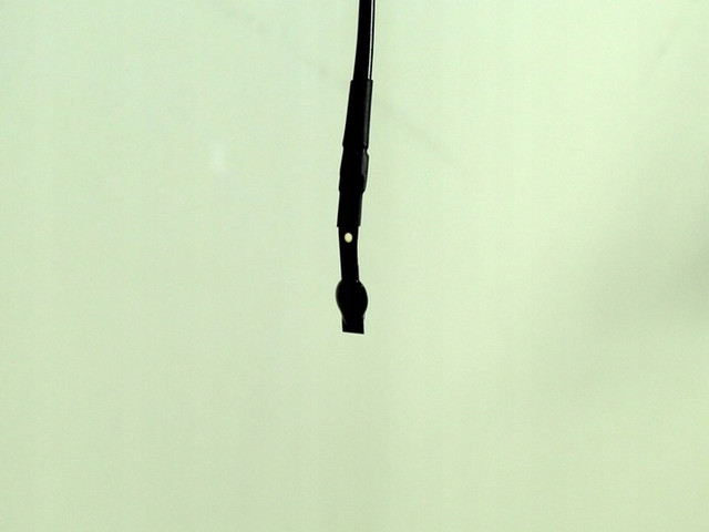 503 7.jpg