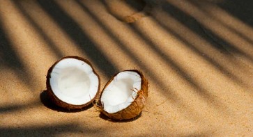 Coconut