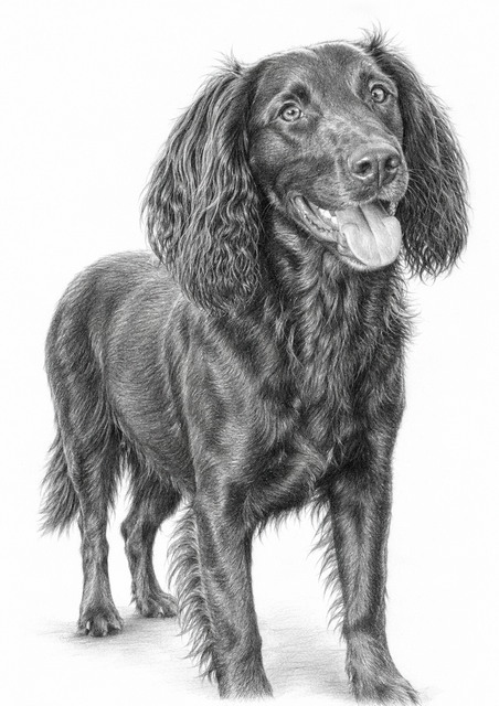 83335 1.png