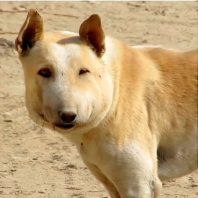 Main Article Image