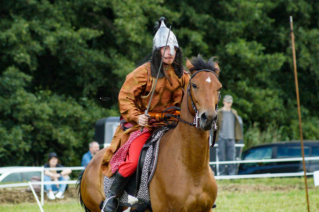 DSC05561.jpg