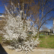 100c000943m