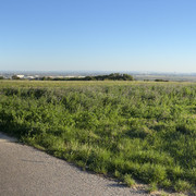 IMG-0509