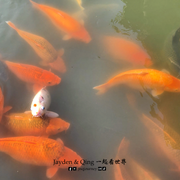 4月7日(7) watermarked