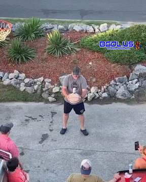 1.gif