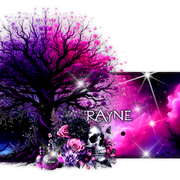 Rayne 95ºBanner
