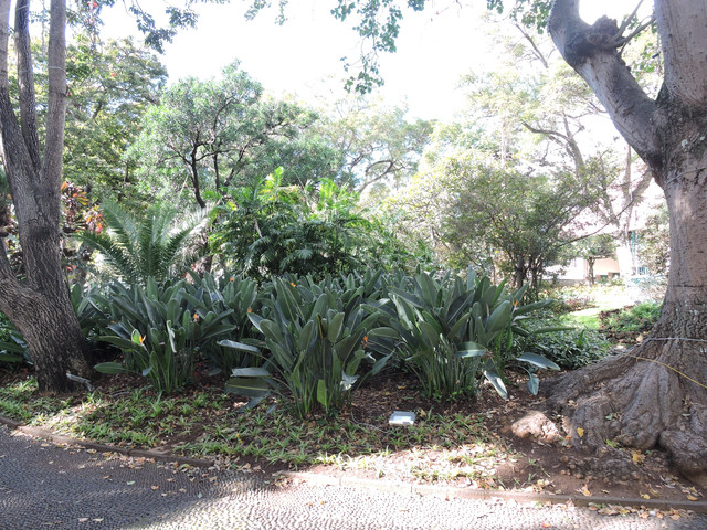 DSCN8469
