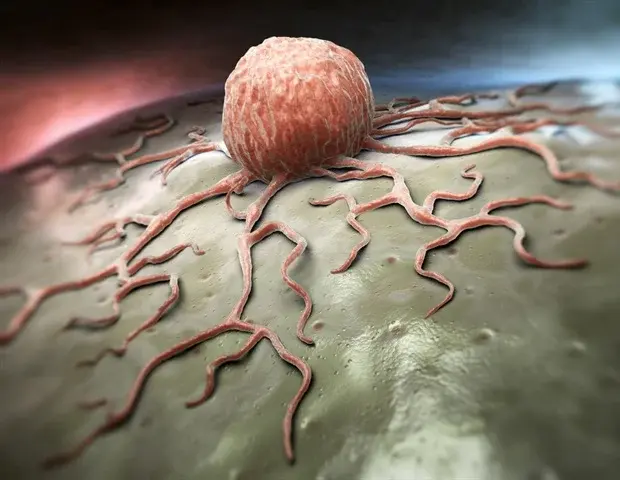 TIGIT Emerges as Key Target in Cancer Immunotherapy