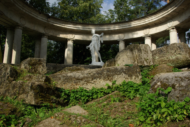 IMGP5278.jpg