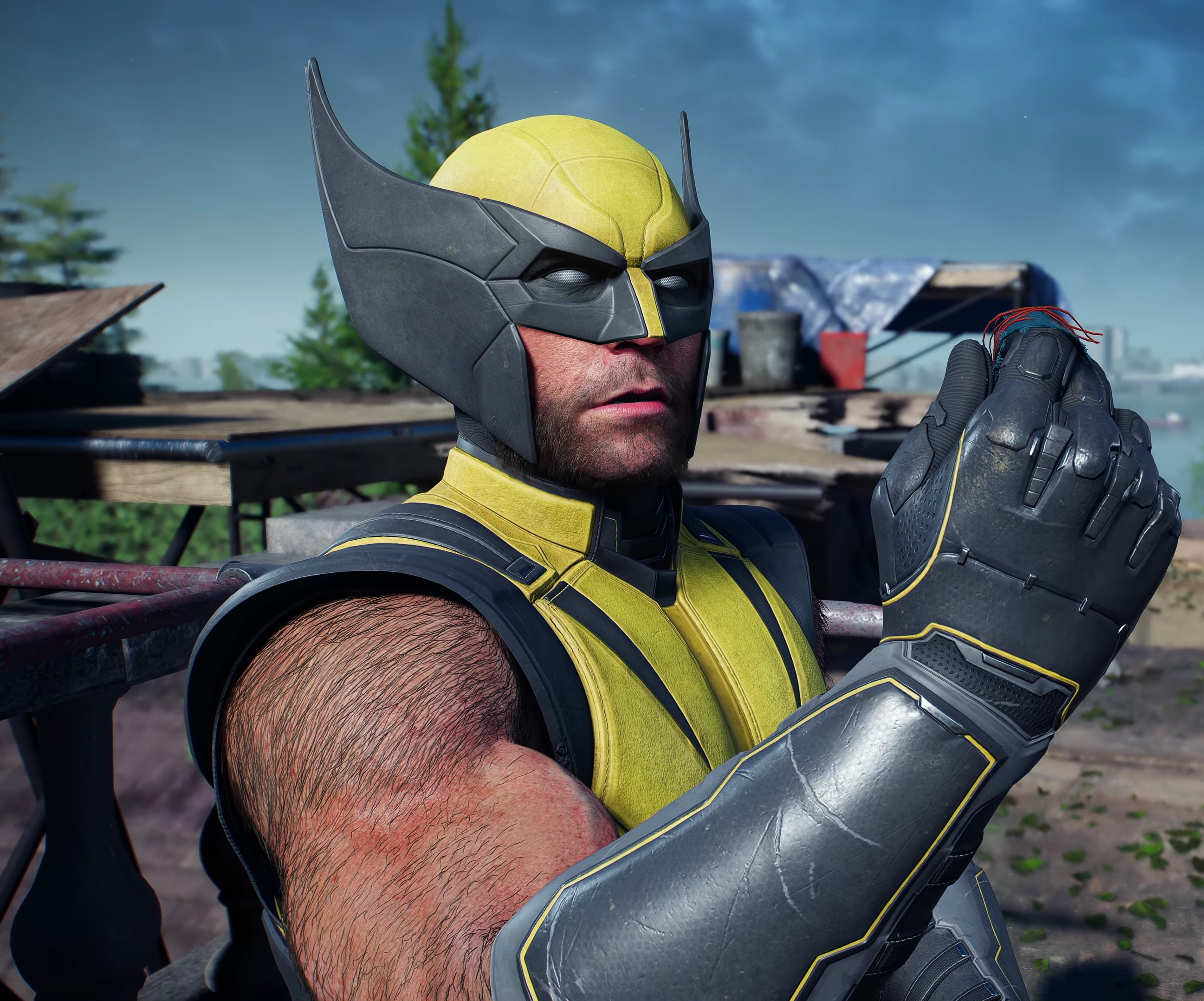 Wolverine