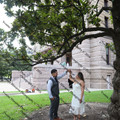 IMG 4232