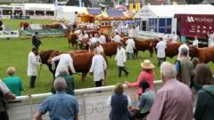 Wales Commits Over One Billion Pounds to Controversial Agricultural Funding Plan