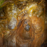 L1013418