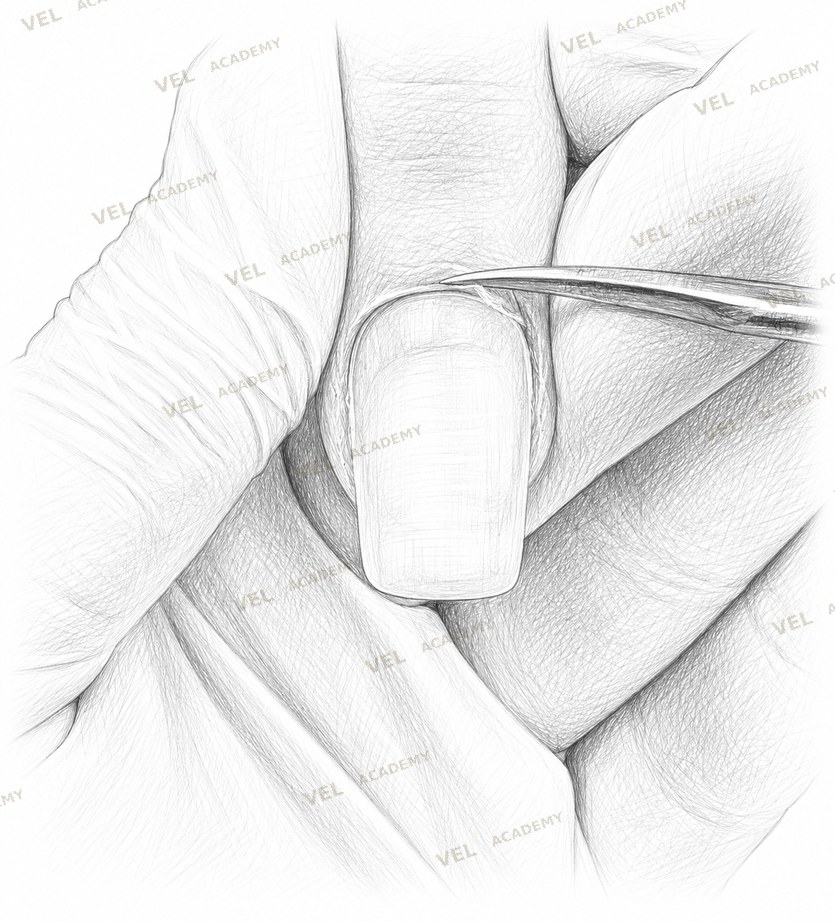 Cuticle scissors rotated to 90 degrees working tips along cuticle line step 2