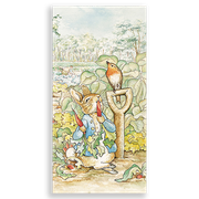 31001493-Peter-Rabbit-Ana