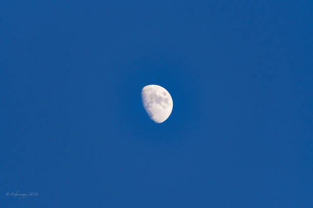 DSF6197.jpg
