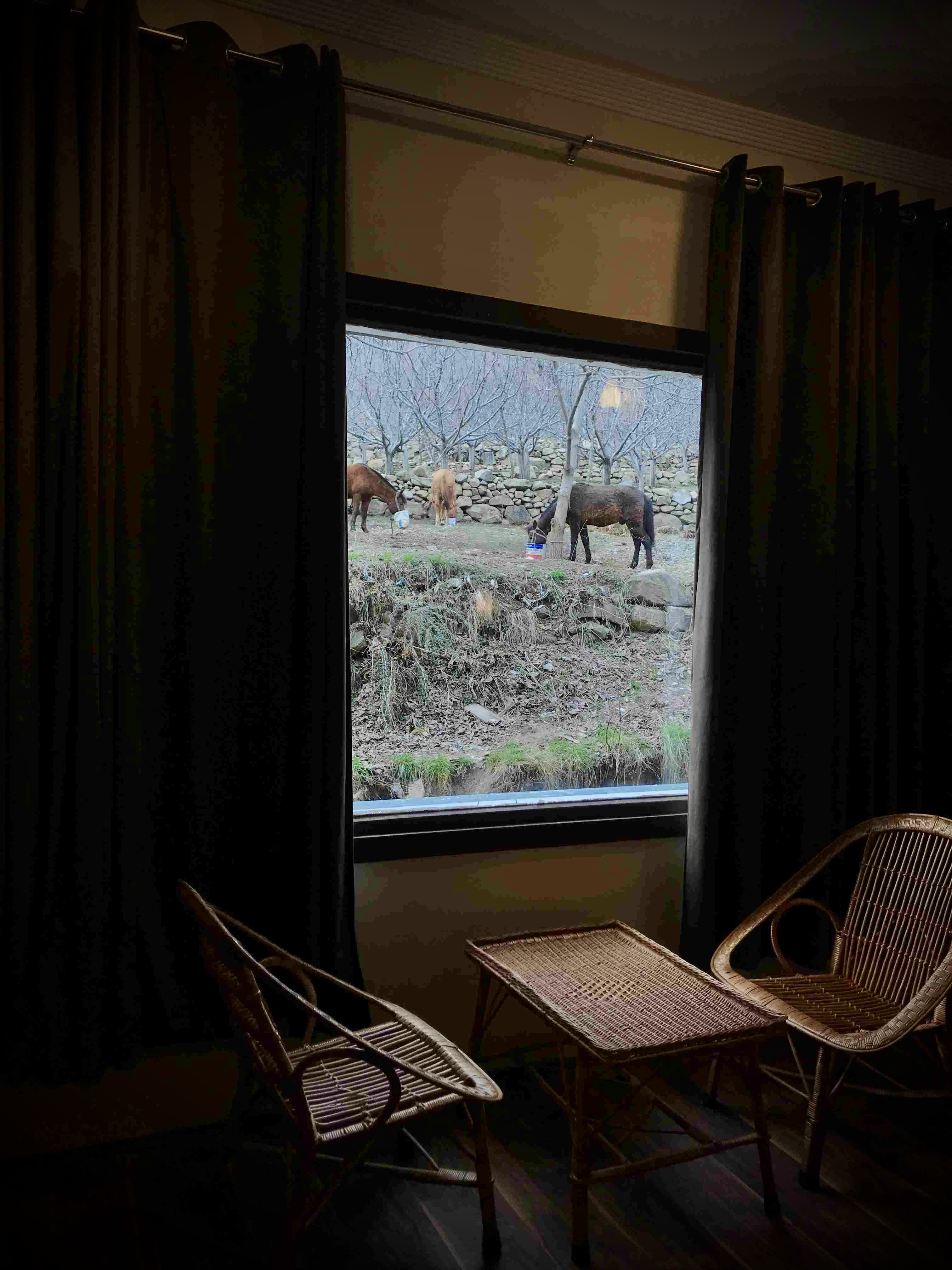 TravelView Gallery 2