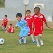 IMG 7699