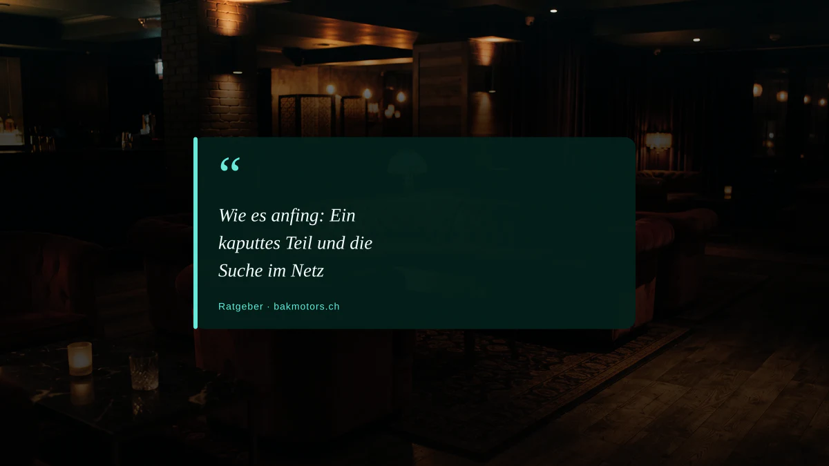 Wie es anfing: Ein kaputtes Teil und die Suche im Netz