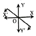 বিকল্প 4